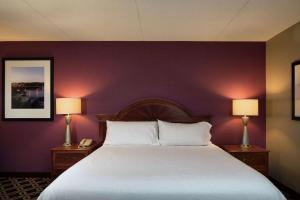 King Room room in Hilton Garden Inn Auburn Riverwatch