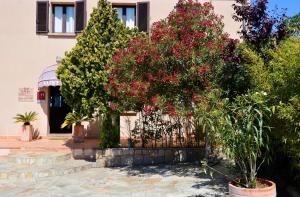 Hotels Hotel & Restaurant le Saint Jean : photos des chambres