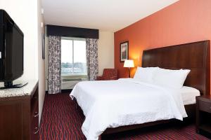 One Bedroom King Suite room in Hilton Garden Inn Clifton Park