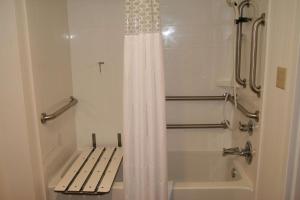 King Room - Mobility Access/Non-Smoking room in Hampton Inn Birch Run