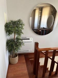 Vivenda Oliveira - Alojamento Local