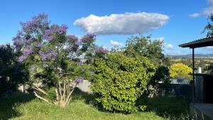 Morwell Pet friendly 3 BRMS Rental home Free Wi-fi