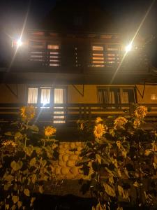 Pokoje Gościnne Maja