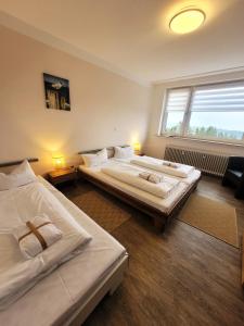 Winterberg Appartement 21123