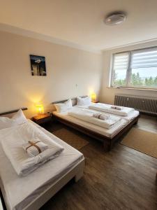 Winterberg Appartement 21123
