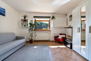 Panoramic Green Studio