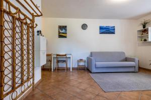 Panoramic Green Studio