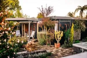 Starry Nights cabin fever - Waikino