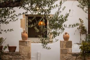 Amygdalia Traditional House