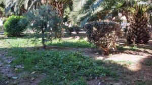 Del Parque Flats Urban Life