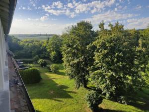 Appartements Chateau * Paris * Champagne * Disney * Campagne * Familles : photos des chambres