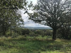 Maisons de vacances Maison de bois en pleine nature a 20 min de Beaune : photos des chambres