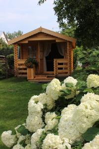 Svečių namai Dzūkai