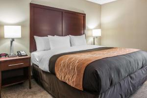 King Room with Sofa Bed - Non-Smoking room in Comfort Inn Blue Ash North