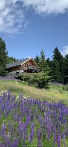 Chalet Claassen