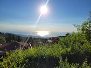 Etna Sunshine Rent Rooms