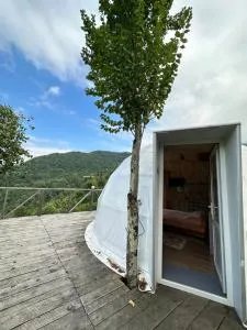 Glamping Megobroba inn - Zeda Makhuntsʼetʼi