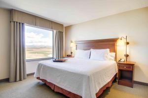 King Room with Sofa Bed - Hearing Accessible/Non-Smoking room in Hampton Inn & Suites Pinedale