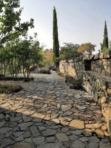 FIKARDOU ALMOND PARK