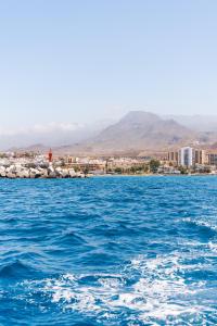 Ocean Nomads Coworking Tenerife