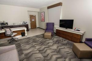 One-Bedroom King Suite with Sofa Bed room in Hilton Garden Inn Tampa Suncoast Parkway