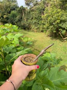 Los Bananos - Tiny Wood Cabin