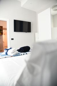 Al Massimo apartment