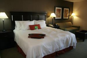 King Room - Non-Smoking room in Hampton Inn Salt Lake City/Murray