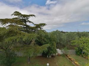 Appartement - Vue sur Jardin