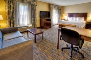 King Studio with Sofa Bed - Non-Smoking room in Hampton Inn Roanoke Rapids