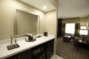 King Studio Suite - Non Smoking room in Hampton Inn and Suites Missouri City