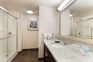 King Studio Suite - Non Smoking room in Hampton Inn and Suites Camp Springs