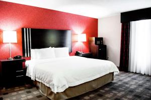 King Studio Suite with Sofa Bed - Non-Smoking room in Hampton Inn & Suites Richmond Glenside