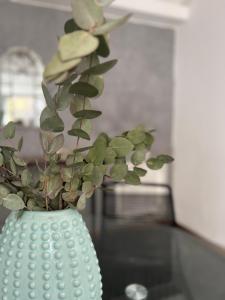 Departamento moderno calle España!