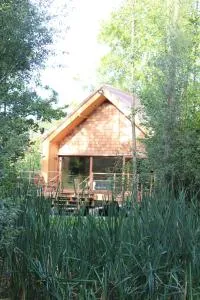 Entre mare et chêne - Frasnes-lez-Anvaing