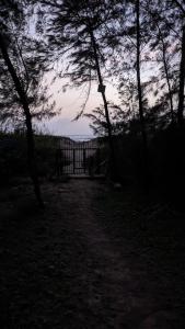 5 Mile Beach Resort