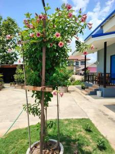 หม่อนเมือง รีสอร์ท