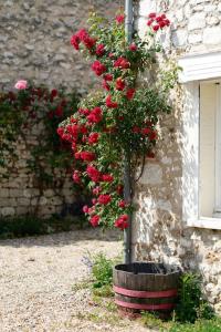 Villas L'oree de Seine entre Gaillon et Giverny : photos des chambres