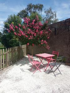 Maisons de vacances La Maisonnette des Louves - gite rural avec jardin : Maison 1 Chambre