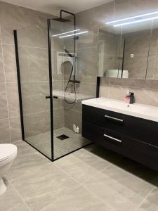 Super fresh appartement with garden WIFI EV Carger