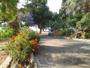 Elea Guesthouse Parnassos Greece