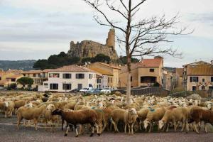 Maisons de vacances Grande maison familiale tout confort . : photos des chambres