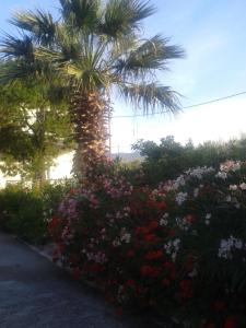 Elea Guesthouse Parnassos Greece