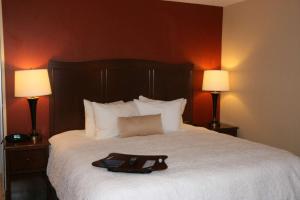 King Room with King Bed - Non-Smoking room in Hampton Inn and Suites Peru
