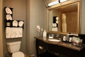 King Room with King Bed - Non-Smoking room in Hampton Inn & Suites Carlsbad