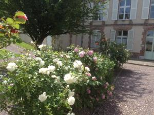 B&B / Chambres d'hotes la maison du phare DE HONFLEUR chambre d hotes B&B -jacuzzi prive- shabby chic : photos des chambres