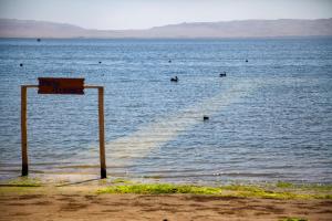 The Legend Paracas Resort, a Destination by Hyatt Hotel