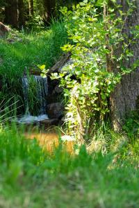 Chalupa U dvou potoků