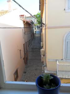 Apartment with Terrace room in Arco Arina Apartment