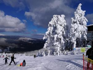 Ferienwohnung Hexentanz